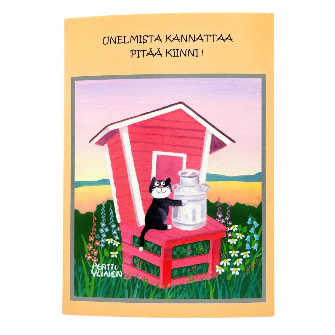 Kotimainen-postikortti-Vilippus-033-unelmista_kannattaa_pitää_kiinni